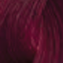 ENVIE HAIR COLOR profesjonalna trwała farba do włosów 100 ml | 6.666 - 3